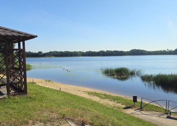 Aktyvus judėjimas – geresnei savijautai ir sveikatai!