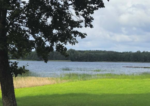 Alytaus rajono maudyklų vandens kokybė: pakartotiniai tyrimai patvirtino – Ilgio ežero maudykla vėl saugi maudynėms 