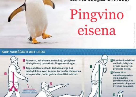 Išlike saugūs ant ledo - PINGVINO eisena!